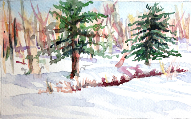 2.15.15_Two pines_620w